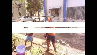 Holi special