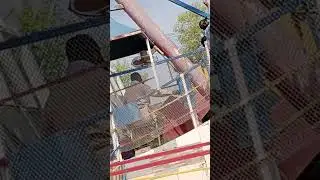 Boat Swinging at Chanab Park