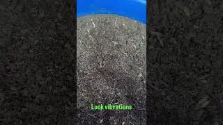 Vyavasthit Vermicompost- How to make vermiwash ? #vermicompost #organic #independence #vermiwash