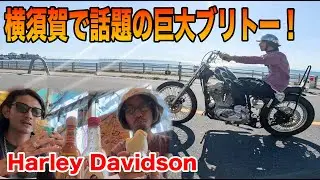 横須賀の人気ブリトーがでかすぎるラン【ハーレー】