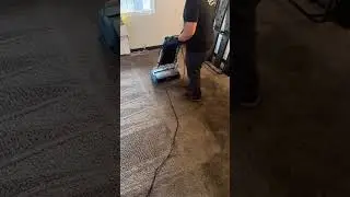 ASMR CRB scrubbing before I steam clean  #asmr #crunchy #vacuum