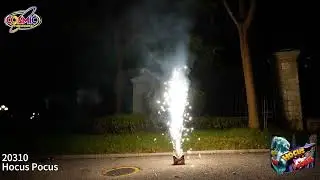 20310 Hocus Pocus