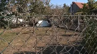 Eredm&eacute;nyes a szolnoki Szoci&aacute;lis Kiskert Program 2018.10.15.