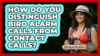 How Do You Distinguish Bird Alarm Calls From Contact Calls? - Bird Watching Diaries