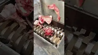 Shredder vs Human Bones - Who Will Won #shredding #shredded #papershredder #shredder #automobile