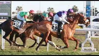 【CAGNES SUR MER TURF】 FRENCH HORSE RACE ANALYSIS