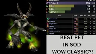 The Best Pet in Wow SOD Classic? 80-100+ DPS!
