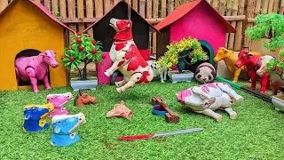 Wadidau Proses Potong Sapi Kurban, simulasi potong sapi qurban idul Adha