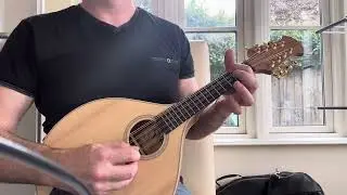 Siveen large body mandolin
