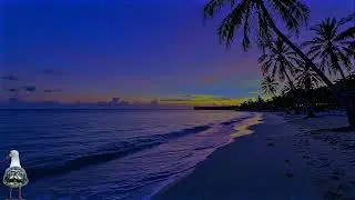 Einschlafmusik 🌙 Wellenrauschen. Ocean Waves (Sleep Music) Meeresrauschen & M&ouml;wen