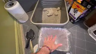 Cat Litter