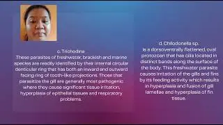 PARASITIC PROTOZOANS ON FARMED FISH AND CRUSTACEANS (OBSERVATION OF PRESERVED FISH PARASITES)