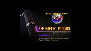 Create a Bee Paradise SoCal Spring Garden Tips & Pollinator Protection