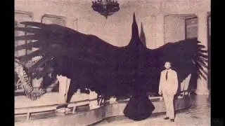 Bizarre Thunderbird Shadow During US F1 Grand Prix