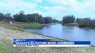 Landscape of Hawaii's agriculture industry on Oahu facing challenges ahead