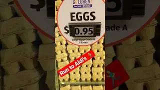 Run to Aldi's 🏃&zwj;♂️ Eggs are less than $1 🚨