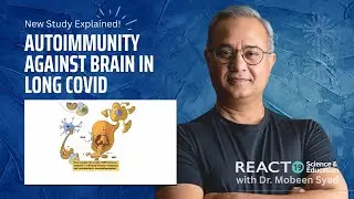 Why Long COVID Causes Brain Fog | MBP & MOG Autoimmunity Explained