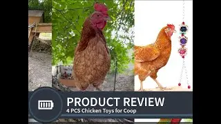 Chicken Toys and Accessories has been approved for onsite commissions with Amazon Reviews