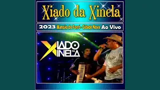 Nega Princesa - Ao Vivo