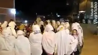 احواش تفرخين انزي