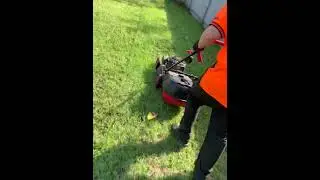 Cutting with the Masport with JaxonsLawnCare