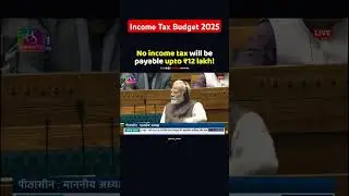 Income Tax Budget 2025 | 1 Feb 2025  | Tax Relief | #incometax #income #realestate