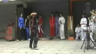 1° Meihuaquan Laojia