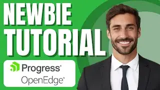 Учебное пособие Progress OpenEdge для начинающих | Обзор OpenEdge