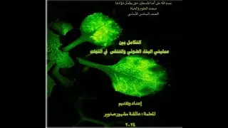 التكامل بين عمليتي البناء الضوئي والتنفس