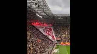 Dynamo Dresden vs Energie Cottbus 🔥Germany 3 division 👏🏻