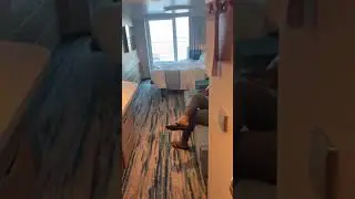 Stateroom 11480 on Mardi Gras