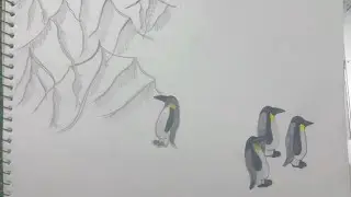 Walking Alone: The Viral Penguin Story Everyone Feels