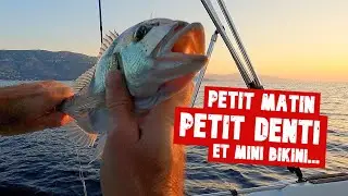 Petit DENTI et mini bikini au lever du jour 🤭