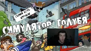 симулятор голубя, симулятор рыбки, обзор на симулятор голубя / Bossa Studios pigeon simulator