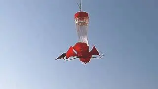 The Field Lab Live Stream