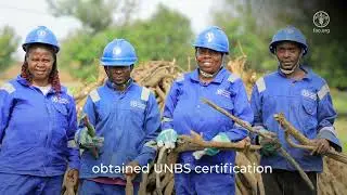Promoting Sustainable Charcoal and Cleaner Cooking in Uganda &ndash; FAO & EU Project