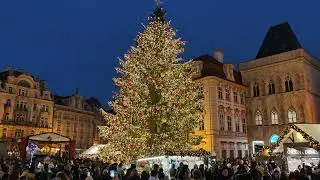 Christmas Tree Light Show, Prague, Czech Republic, December 2024