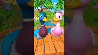 Two little diky duck # 🦆🦆🦆#ducklingspro #birds