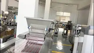 Camera counting machine