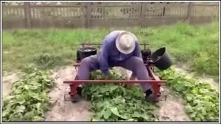 Primitive Technology vs World Modern Agriculture