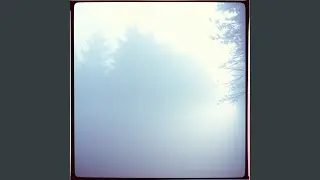 Shimmering Shadows