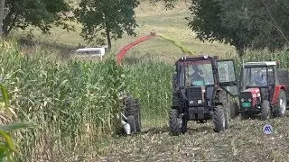 01.09.2019. Čačak - Počelo siliranje kukuruza (Video: MNA)