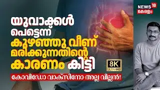 യുവാക്കൾ പെട്ടെന്ന് കുഴഞ്ഞു വീണ് മരിക്കുന്നതിന്റെ കാരണം കിട്ടി, Covid or Vaccine അല്ല വില്ലൻ 8K|N18V
