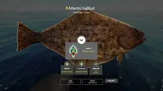 Russian Fishing 4 - Trophy halibut \ ล่า ไคจู ตามรอยสาระตั้ม