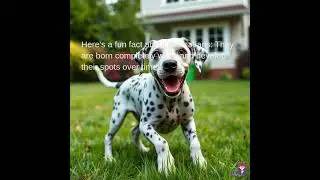 The Shocking Truth About Pets and Happiness