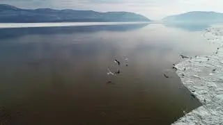 Newburgh Waterfront in Winter