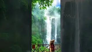 Спокойная Расслабляющая  Музыка #wildnature   #soothing #wild  #relax #nature