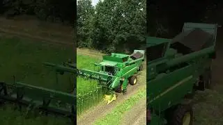 Hemp Harvest @LandbouwTSN 😎 John Deere T660i Double Cut Combine #farming #agriculture #agro