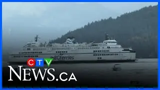 Dozens of BC Ferries sailings cancelled due to wind Monday