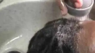 Roni's Artistic Hands - How to Shampoo and care for Locs